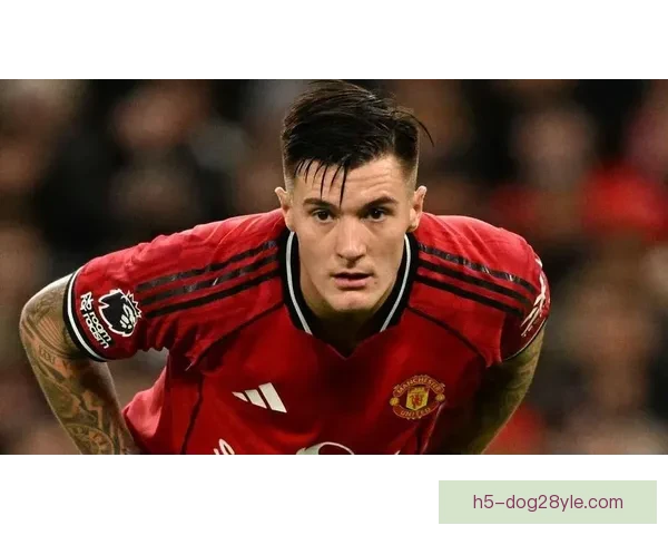 谢林汉姆称基恩因被曼联忽视