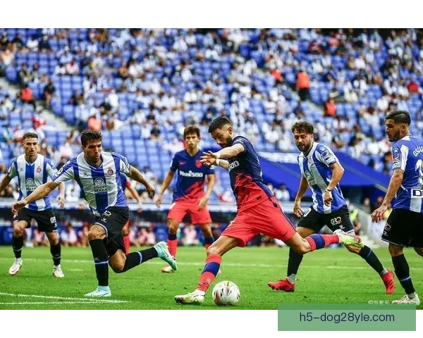 意甲帕尔马对阵维罗纳观赛指南